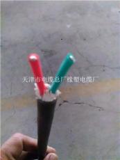 天津市电缆总厂橡塑电缆厂控制电缆产品展示